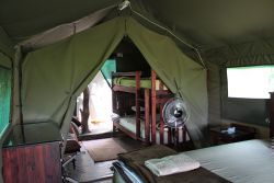 Umbrella Thorn Family Tent Camp