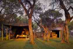 Umbrella Thorn Family Tent Camp