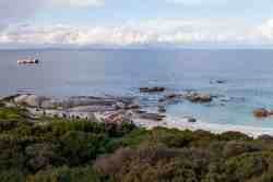 View of Boulders Beach Penguin Colony