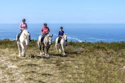 Outrides / Trail Rides