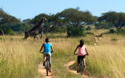 Mountain Bike Trails