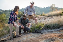 Guided Bushwalks
