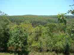 View from the swimming pool and lapa area