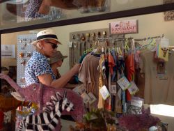 Curio Shop