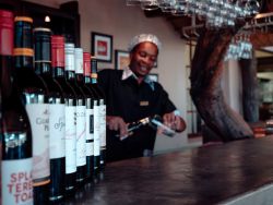 Restaurant & Bar Service