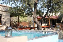 Pool and two of the King Rooms near Reception area.