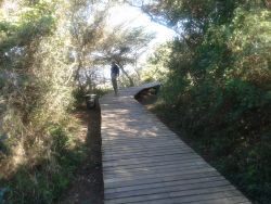 Board walk