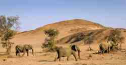 Ephemeral (Dry) River Drive - Activity