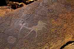 Rock Engravings - Activity