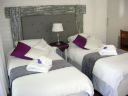Our rooms are comfortably and stylefull equipped with twin or king size beds.