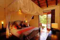 Bushvilla Umoja Kruger - wildlife without fences. il y a un lumière donnant au jardin, et cela donne parfois de belles surprises. Nous avons une caméra animalière suspendue à laquelle nous partageons les films. Chaque fois c’est comme le matin de Noël lorsque j ; analyse les vidéos.