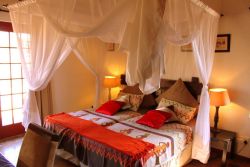 Chambre 2. Vue sur le jardin. Des coffre-fort dans deux chambres. Ici aussi, accès à la terrasse avec un coin salon semi-privé près de la cuisine.