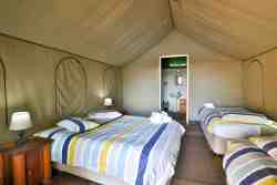 Family Tented Chalet- Bedroom