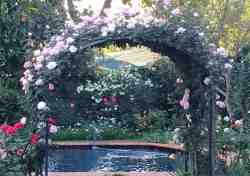 Swimming pool in flower filled garden