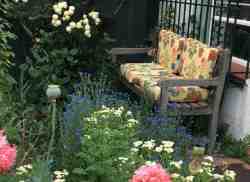 Comfy bench just outside cottage