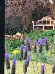 Winter or Spring there re spots in the garden to enjoy it.
