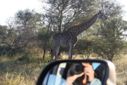 Safari Kruger Park
