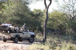 Game drive in a big 5 reserve