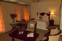 Our elegant rooms with unique decor