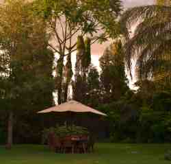 Relaxing garden where lovely things mix and match