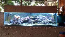 salt water fish tank