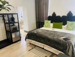 Executive Rooms 
