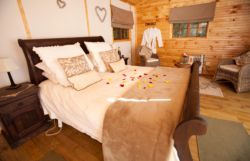 Tree House Bed