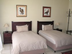 Twin bedded room