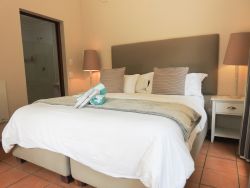 Room 6