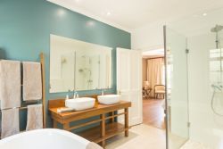 Executive Suite Bathroom