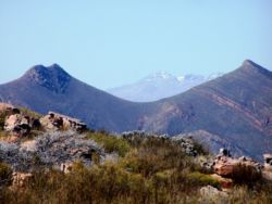 From the highest point in the reserve, the Great Swartberg is visible in the distance - snow-capped.