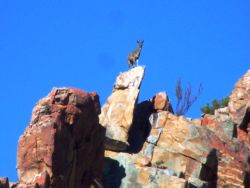 Magical mountainous scenery, rock formations and wildlife.