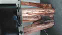 very unique log creations at WoodStay Lodge