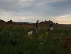 Walking and biking trails on farm