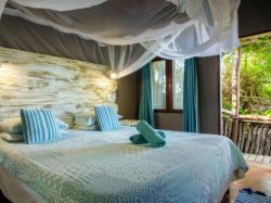 Cabin with Sea View 